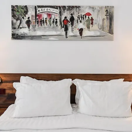 Hotel Casa Baritiu - Budget *