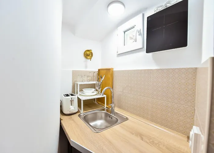 Hotel Casa Baritiu - Budget